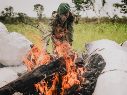 Cidades flutuantes de troncos: poderão os “pulmões de África” sobreviver à sua exploração?
