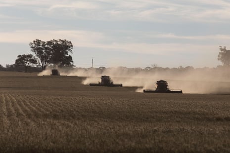 Wheat harvesting in NSW’s Riverina.