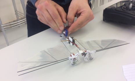 Matěj Karásek prepares to launch a DelFly robot on a test flight at Delft University of Technology.y