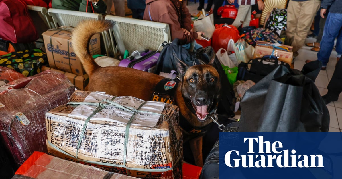 Dog women sex in Bogota