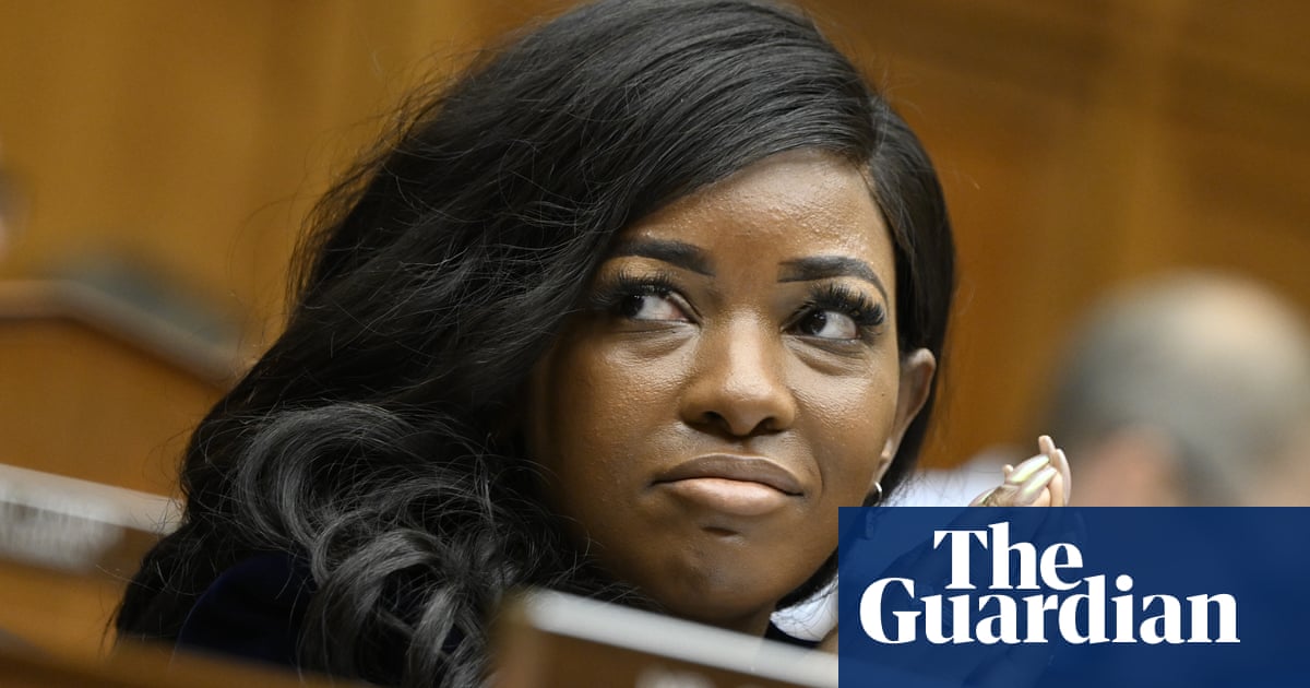 Texas Democrat asks witness how many times GOP said 'if' in Joe Biden allegations - video