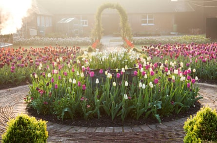 Pink ‘Barcelona’, creamy-white ‘Maureen’ and dark purple ‘Queen of the Night’; the central copper pot is planted with narcissus ‘Ice Wings’ with two rows of orange tulip ‘Ballerina’ leading the eye to an arch.