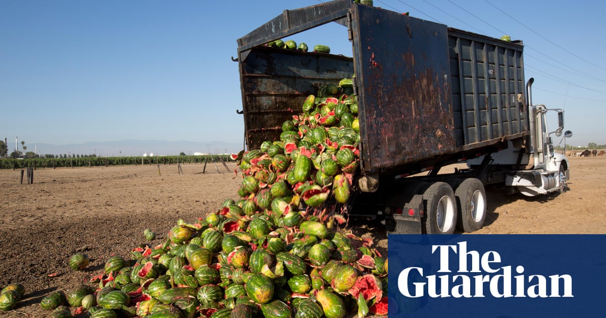 From Field To Fork The Six Stages Of Wasting Food