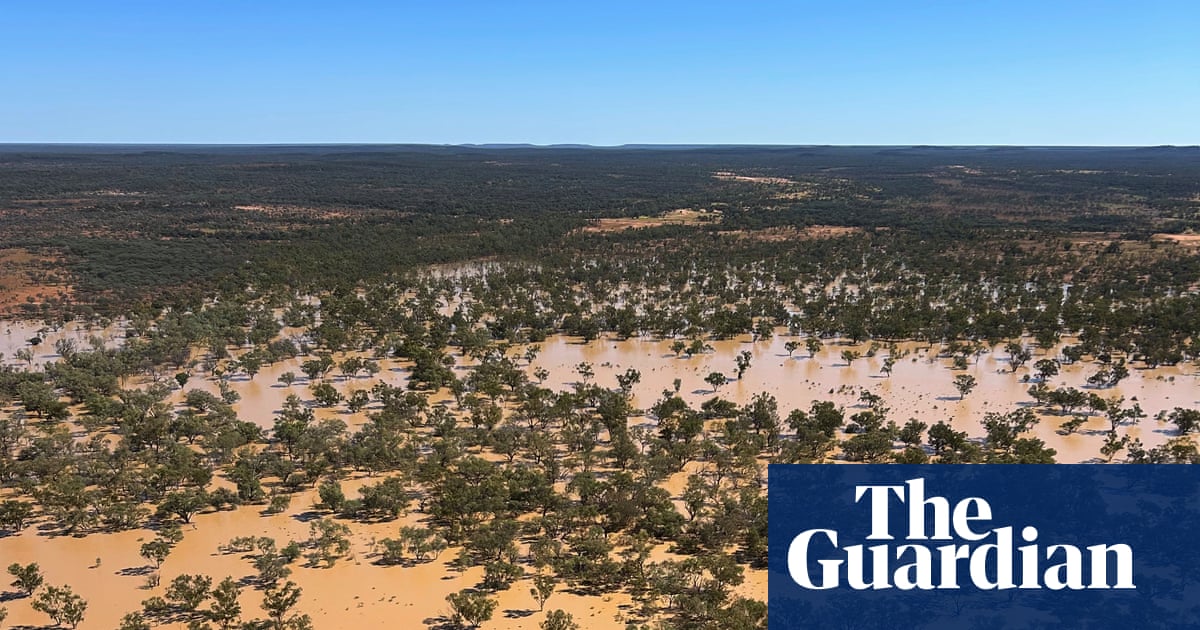 As Australia’s natural disasters worsen, ‘vets carry on, even while their own clinics are under water’