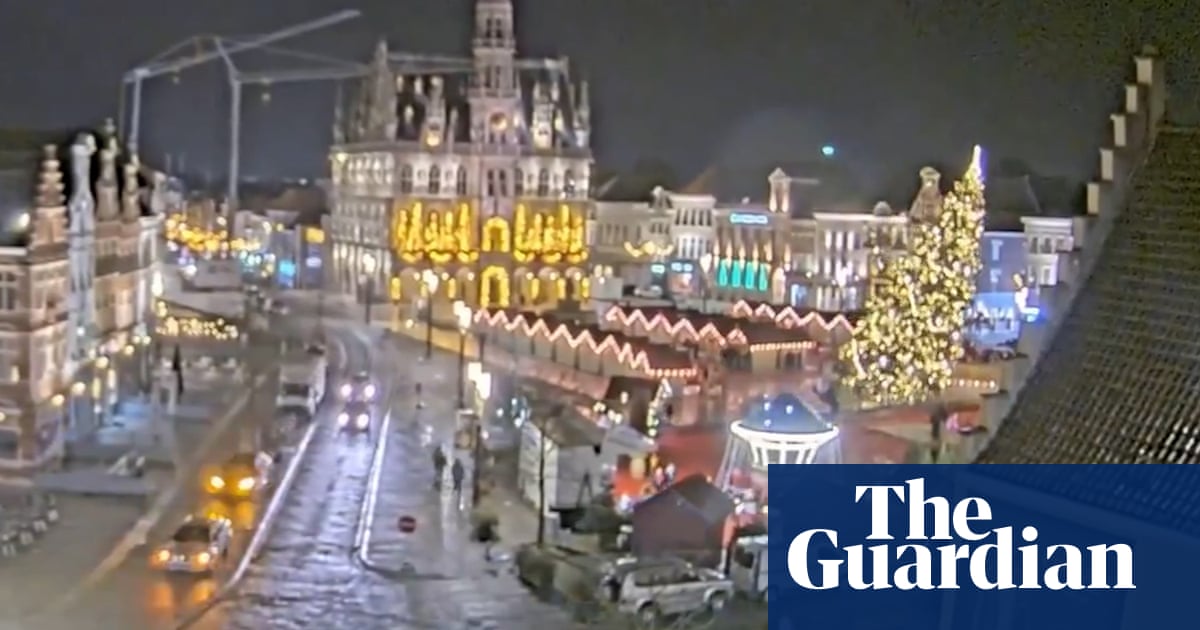 Woman killed by falling Christmas tree in Belgian market square
