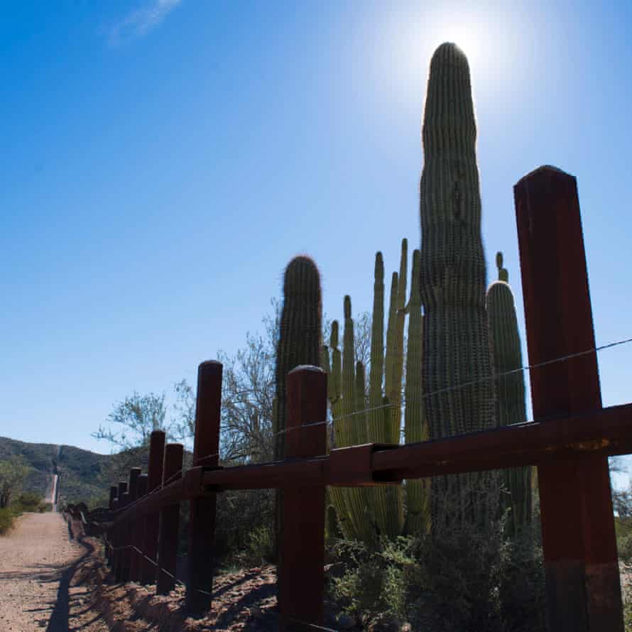 Cacti on the Mexican side of the border fence at Organ Pipe Cactus National Monument near Lukeville, Arizona