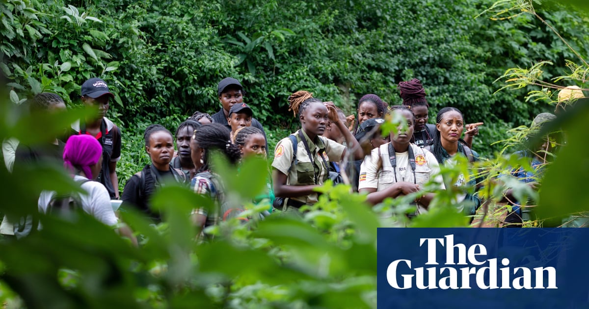 Източноафриканската страна е рай за любителите на птици където група