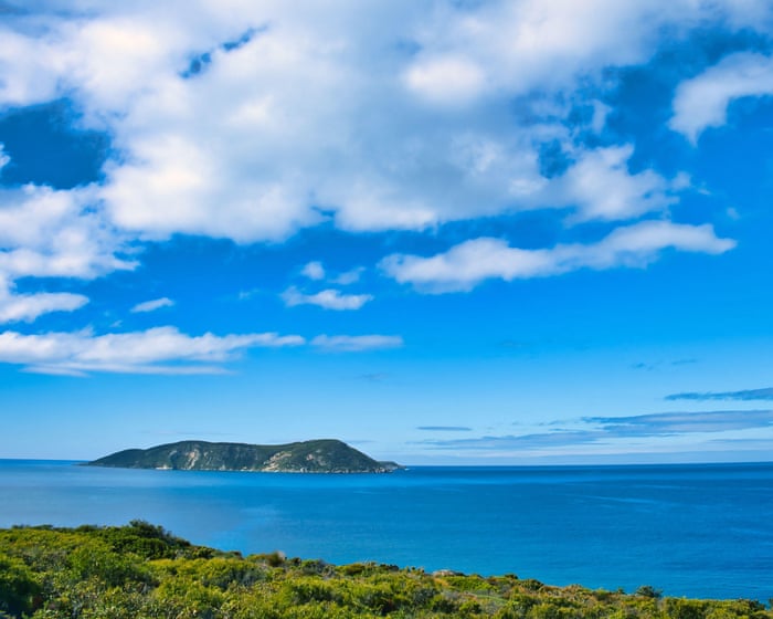 Man fighting for life after being bitten by shark off Western Australian coast