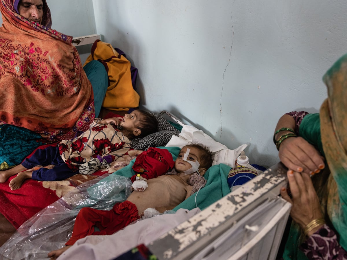 Countdown to catastrophe': half of Afghans face hunger this winter – UN | Global development | The Guardian