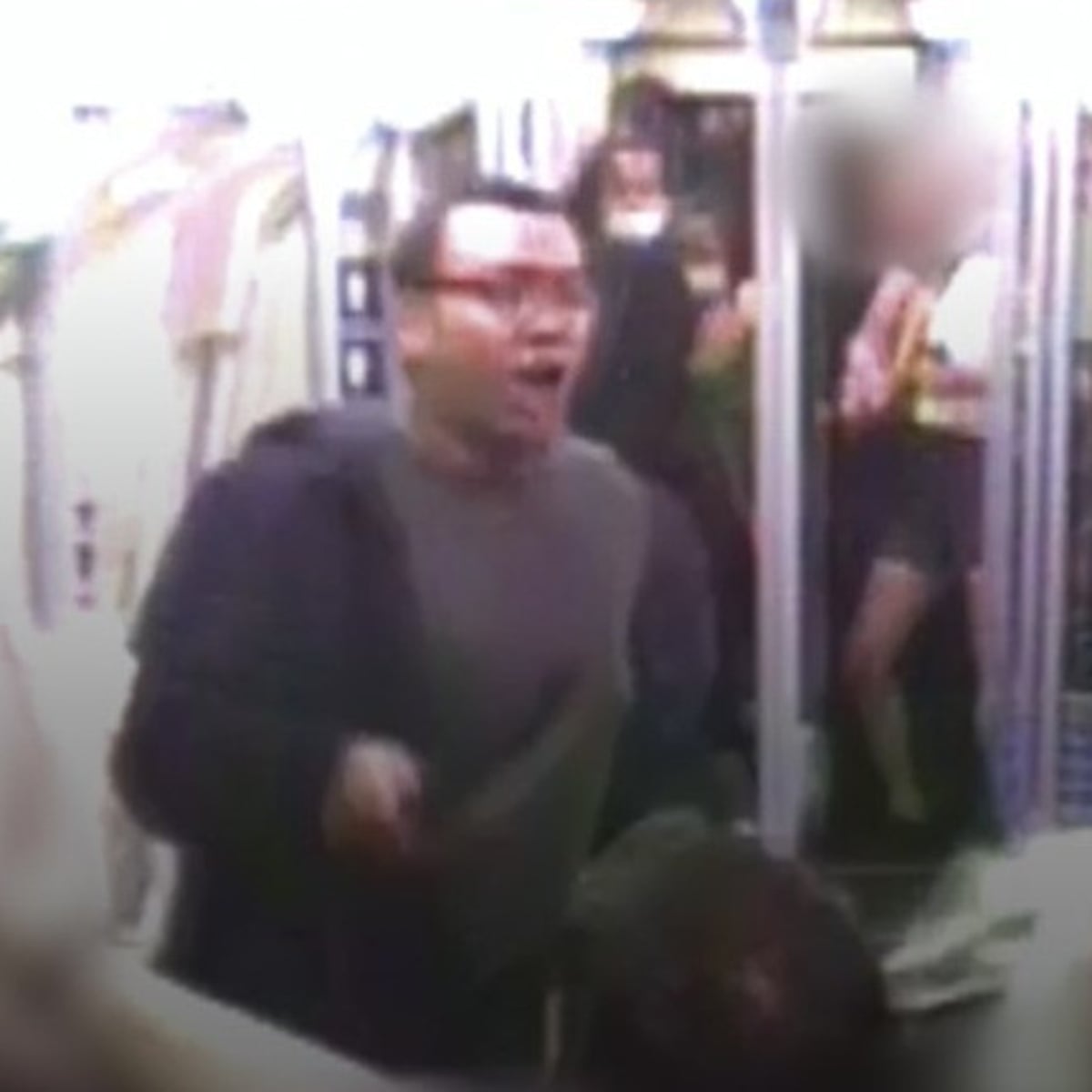 Man jailed for life over machete attack on London tube train | London | The Guardian