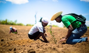 Haiti has a population of more than 10 million people, but has lost as much as 98% of its forests, due in large part to the country’s over reliance on charcoal for fuel.