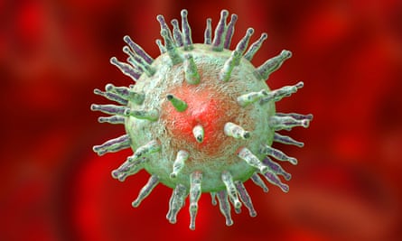 A computer illustration of the Epstein-Barr virus, the discovery of which raised the exciting possibility of preventing cancers through vaccination.