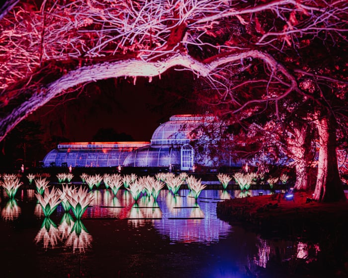 Midwinter magic at Kew: the perfect Twixmas treat