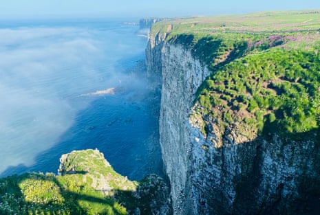 Bempton cliffs, home to many seabirds