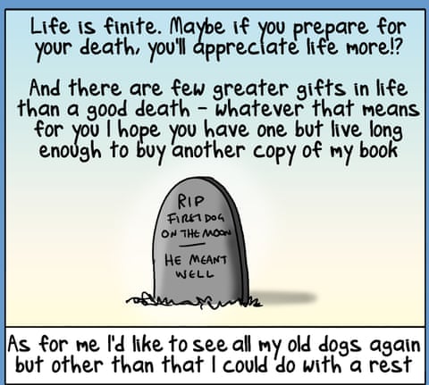 First Dog on the Moon titled Swedish Death Clean, panel 7