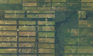 Enormous swaths of dry forest in Paraguay’s sparsely populated Chaco Boreal region have been cleared for cattle ranching