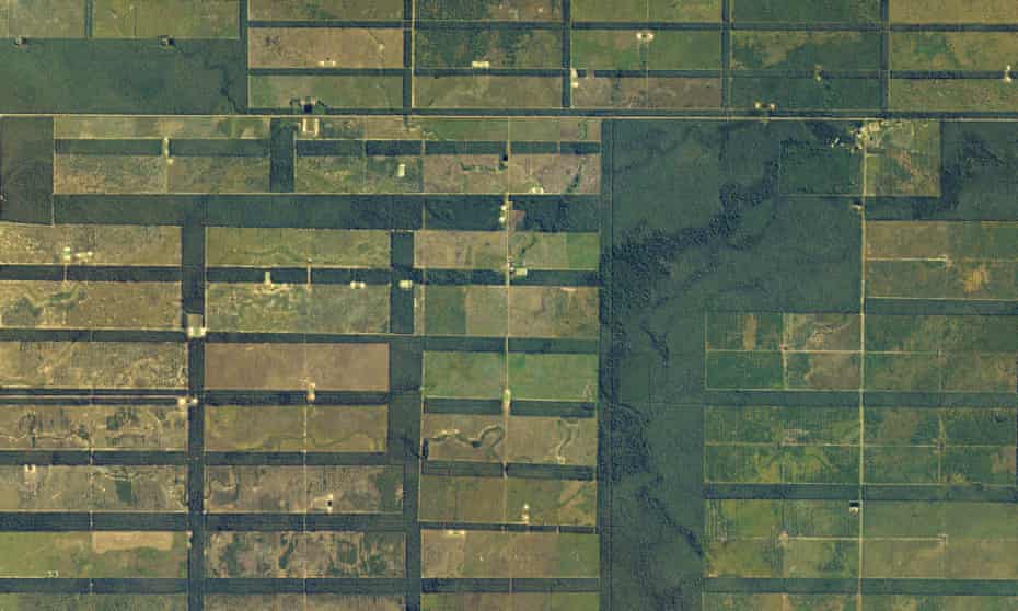 Enormous swaths of dry forest in Paraguay’s sparsely populated Chaco Boreal region have been cleared for cattle ranching