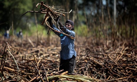 A man works at a sugar cane plantation during harvest time in Masachapa, Nicaragua, January 2018.