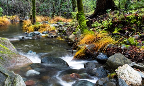 Sonoma Creek flowing through Enchanted Forest at Sugarloaf Ridge state park, California.