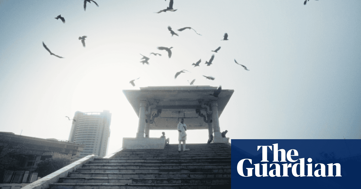 ‘A gaping wound’: how a film about birds of prey is a warning to India’s capital city