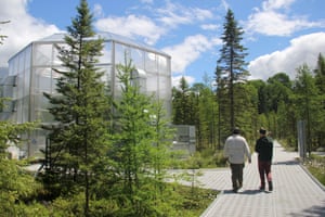 Researcher Randy Kolka shows Jeremy Hance around the Marcell Experimental Forest site