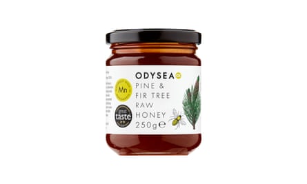 Pine and Fir Tree Raw Honey Front