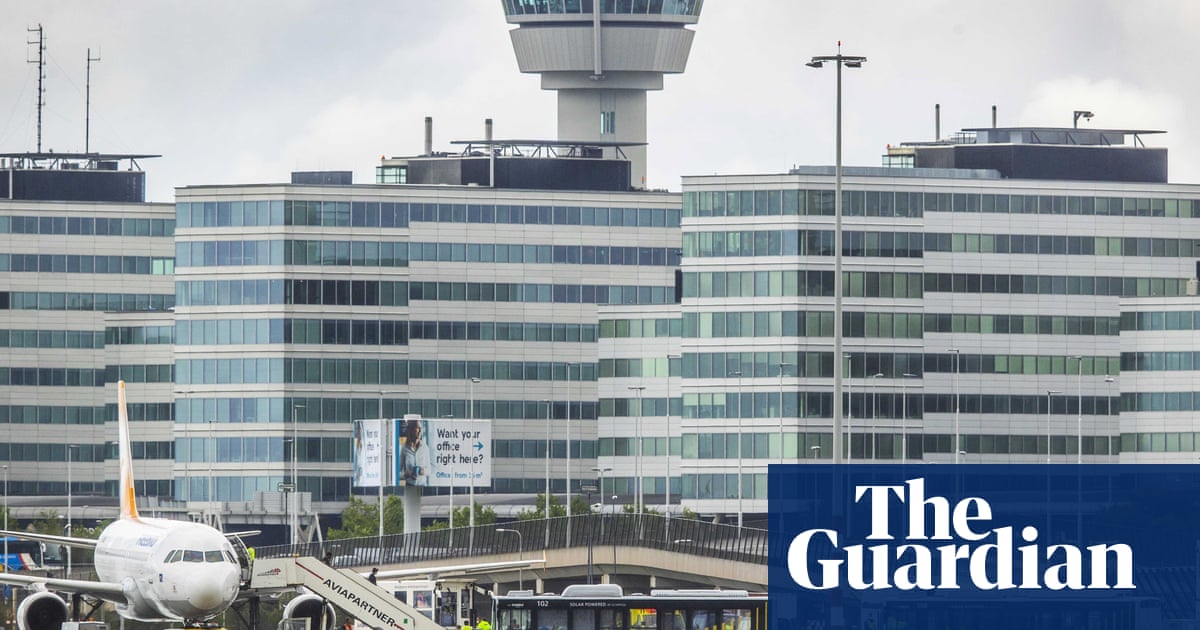Stowaway survives in nose wheel during South Africa flight to Netherlands | Netherlands | The Guardian