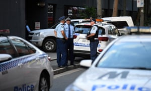 Police on the scene of the baboon escape in Sydney on Tuesday.