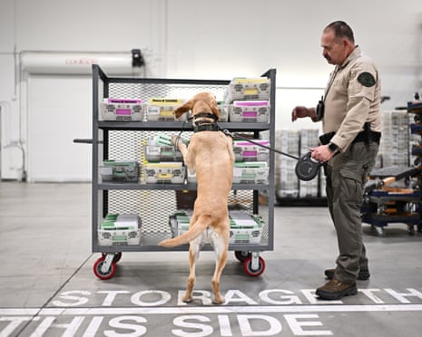 A sheriff’s deputy and his dog inspect ballots at the LA county ballot processing center in City of Industry, California.