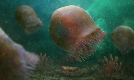 An artist’s image of what the jellyfish would have looked like