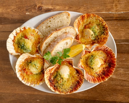 A plate of cooked scallops in their shells.