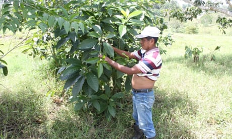 Domingo Choc Che, a Maya spiritual guide who was murdered in early June 2020 in the village of Chimay, Guatemala..