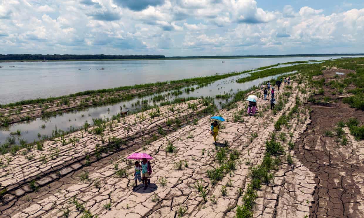 تصویر در دسترس نیست