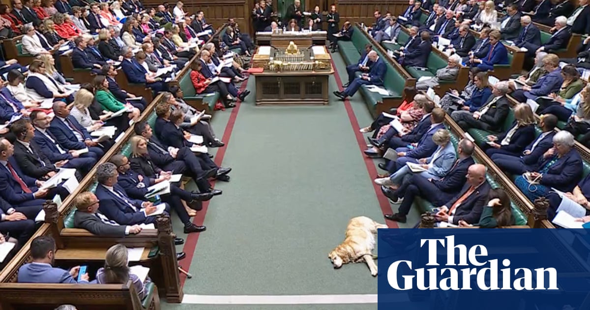 Esther Rantzen accused of being 'disrespectful' as MPs debate assisted dying bill – video