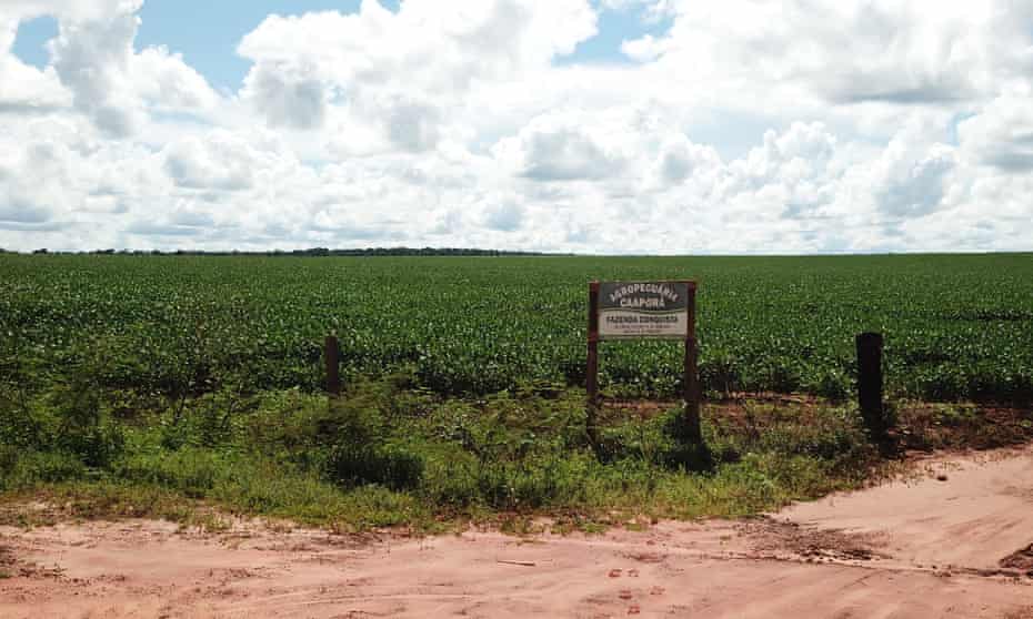 The Brazilian supplier farm Fazenda Conquista