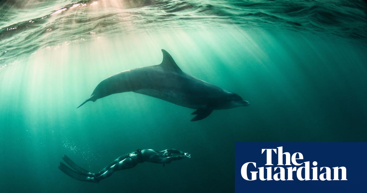 The human league: what separates us from other animals? | Science and  nature books | The Guardian