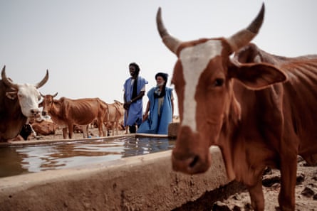 Two Malian refugee herdsmen watch their cattle next to a water trough in M’bera camp.