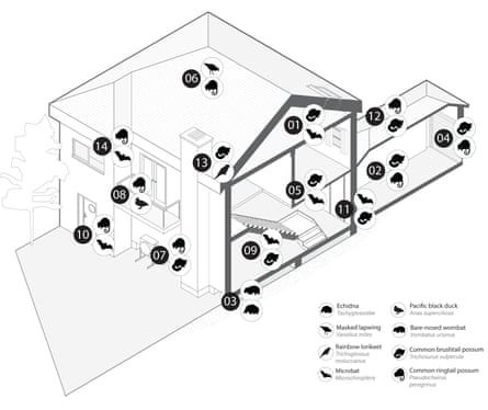 A diagram showing the most common building features used by wildlife