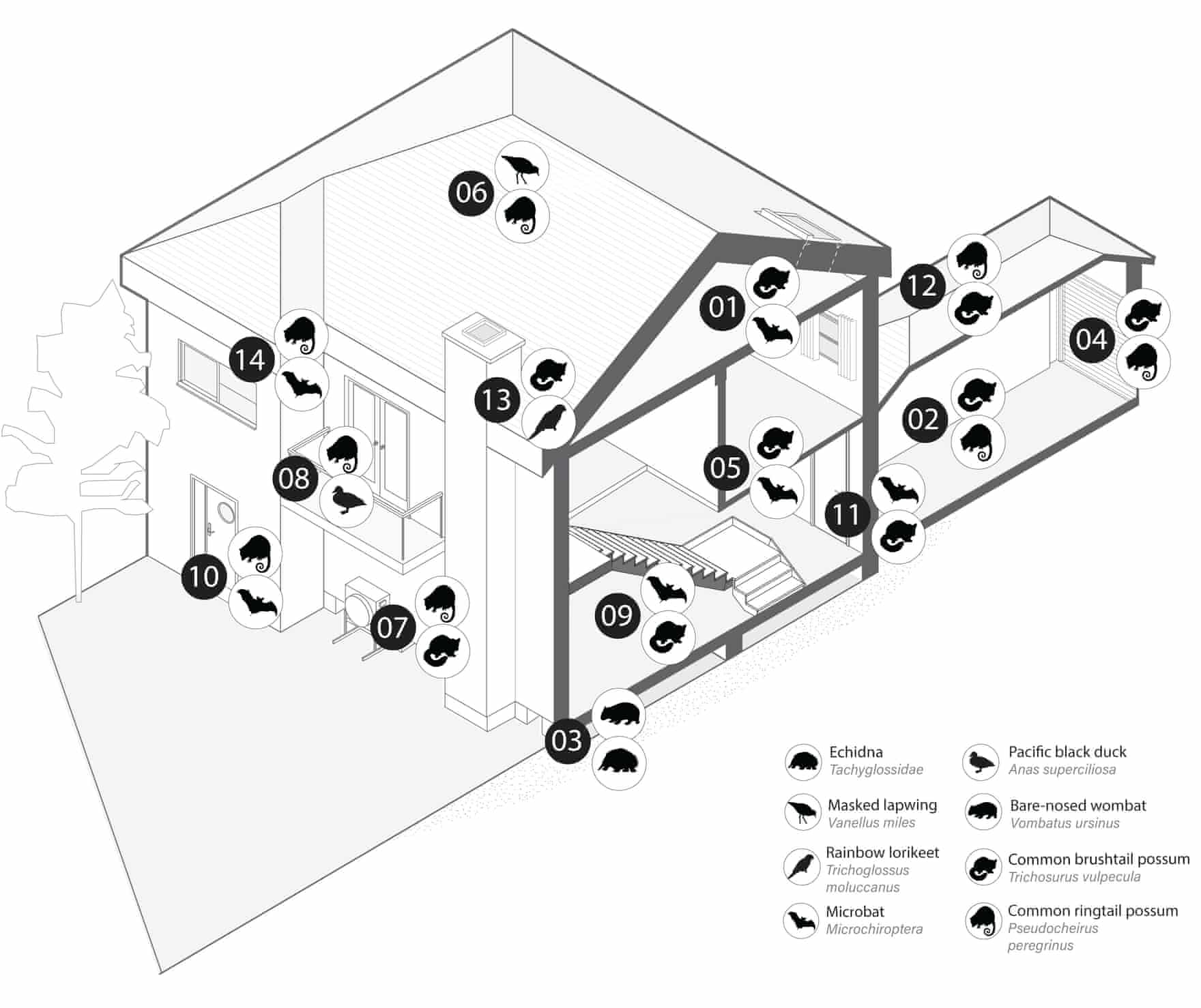 A diagram showing the most common building features used by wildlife