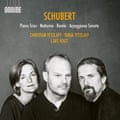 The artwork for Schubert: The Piano Trios