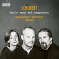 L'œuvre de Schubert : Les trios avec piano