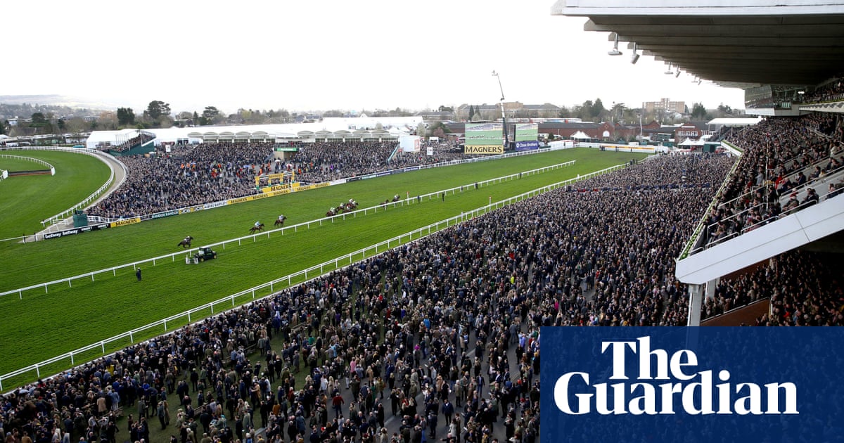 Experts call for inquiry into local death toll after Cheltenham Festival