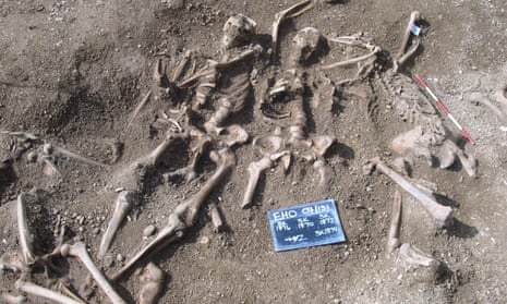 Skeletons of Viking men to be reunited in Danish exhibition | Science | The  Guardian