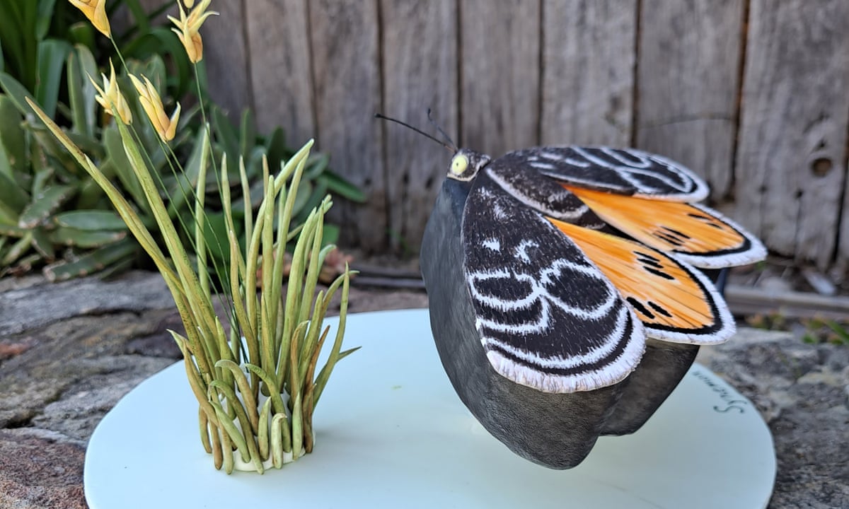 threatened species awareness day sends a sweet message on australia s vulnerable natural heritage australia news the guardian threatened species awareness day sends a sweet message on australia s vulnerable natural heritage australia news the guardian