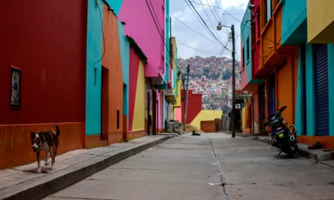 A dog walks in a empty street in the Chualluma neighbourhood, La Paz, Bolivia.