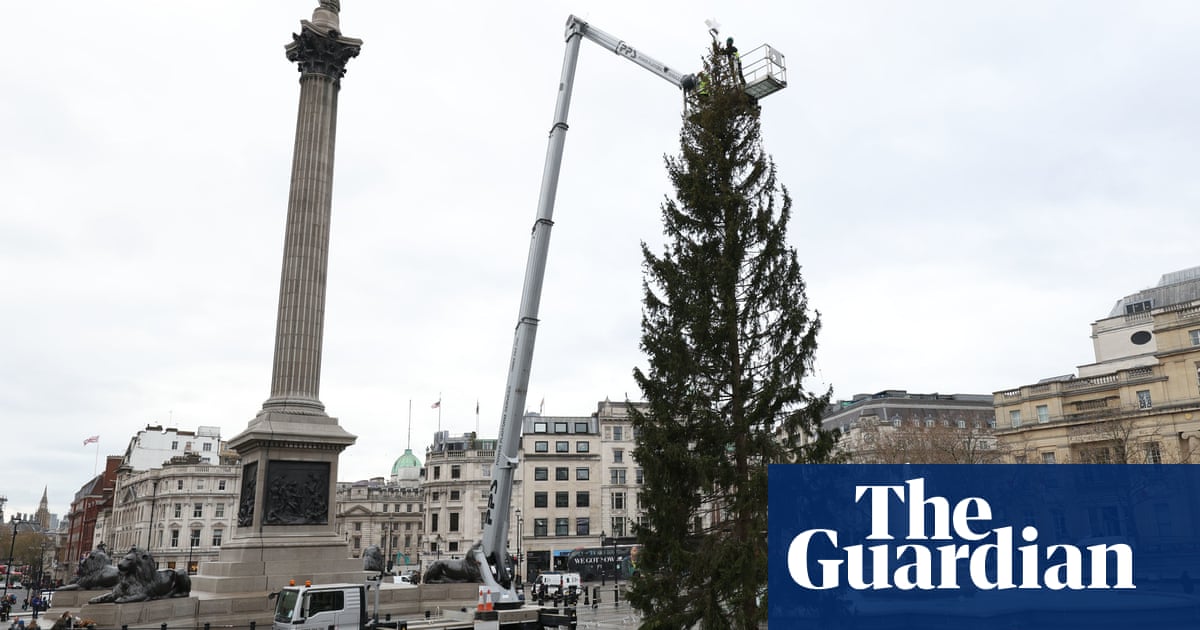 Britain’s worst Christmas trees: is anything secretly more festive and fun than a disappointing fir?