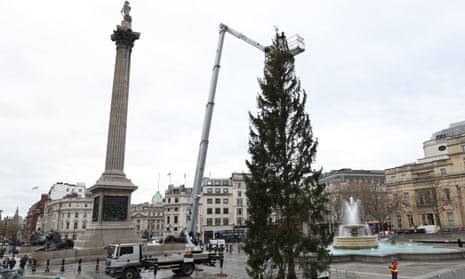 The Christmas tree in Trafalgar Square, gifted by Norway, is put in place.