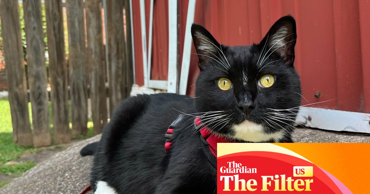 I walk my cat like a dog and he loves it. Here's how we do it