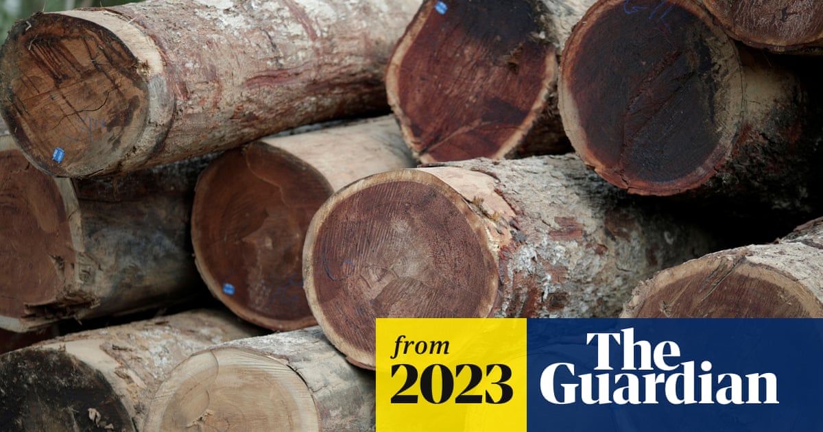 www.theguardian.com
