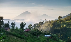 Two volcanic peaks beyond jungle hills